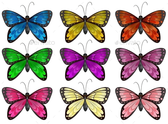 GraphicRiver Butterflies 9259547 GraphicRiver Butterflies 9259547