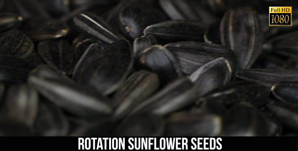 Rotation Sunflower Seeds 2 Rotation Sunflower Seeds 2