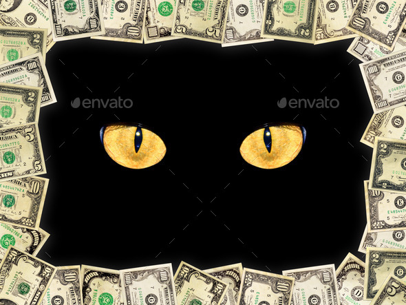 Frame from the dollars and cat's eyes in the darkness (Misc) Photo Download