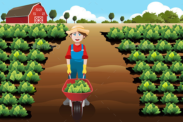 GraphicRiver Boy working in a Vegetable Farm 9269590 GraphicRiver Boy working in a Vegetable Farm 9269590