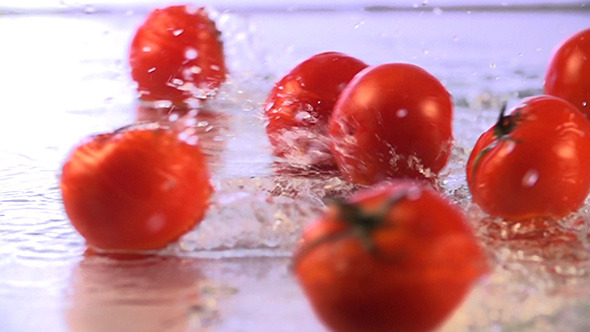 Tomatoes Falling Tomatoes Falling