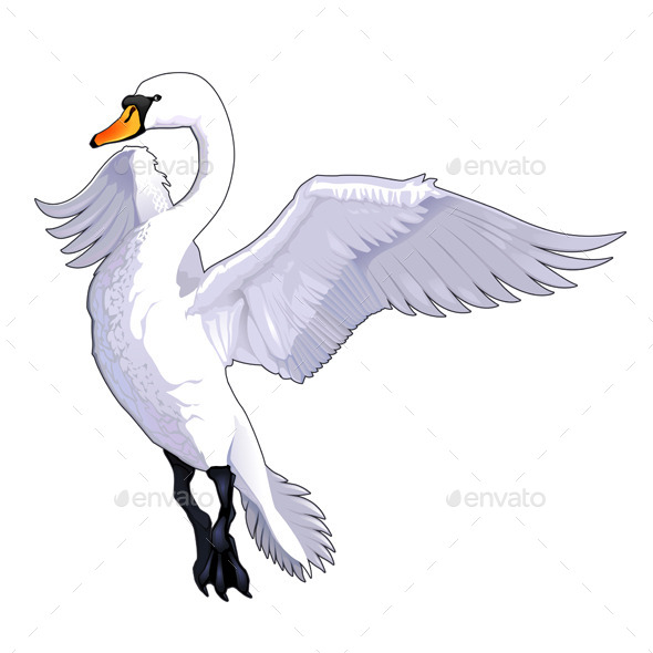 Flying Swan (Animals)