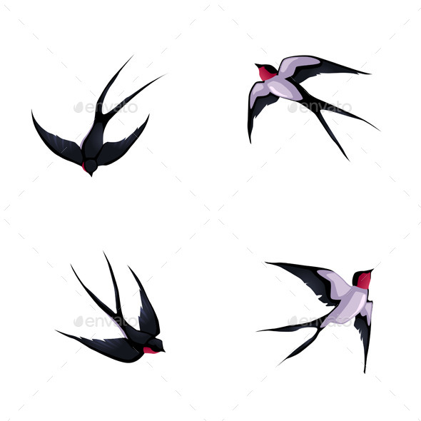 Four Swallows (Animals)