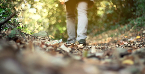Autumn Autumn
