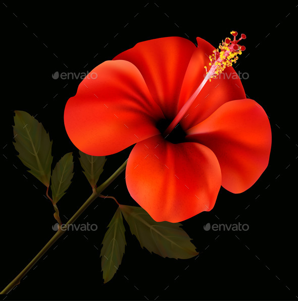 GraphicRiver Red Flower 9276807 GraphicRiver Red Flower 9276807
