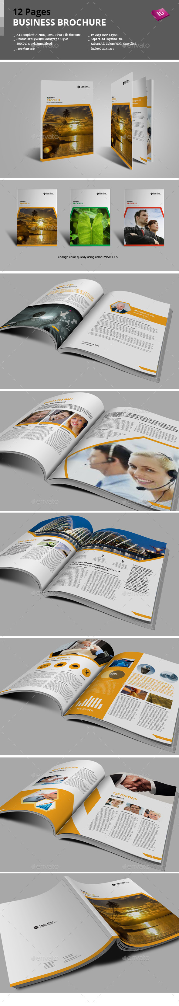 GraphicRiver 12 Pages Business Brochure 9276838 GraphicRiver 12 Pages Business Brochure 9276838