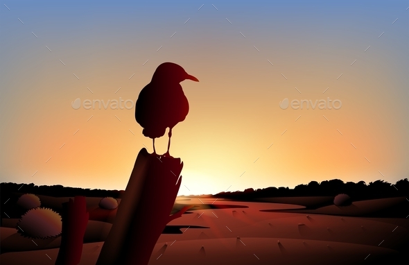 Sunset View on Desert with Bird (Animals)