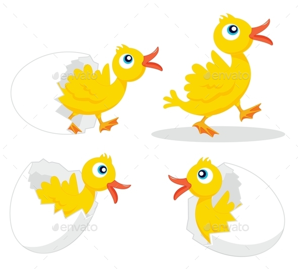 Four Chicks (Animals)