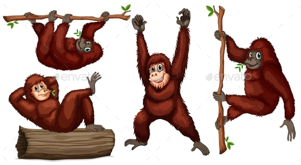 GraphicRiver Orangutans 9278089 GraphicRiver Orangutans 9278089