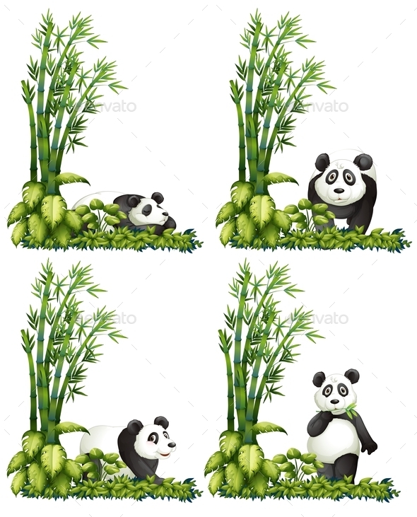 GraphicRiver Panda and Bamboo 9278192 GraphicRiver Panda and Bamboo 9278192