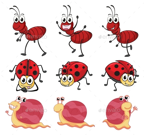 GraphicRiver Snail Ladybug and Ants 9279173 GraphicRiver Snail Ladybug and Ants 9279173