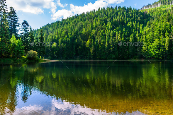 clear lake in the mountains on summer weather