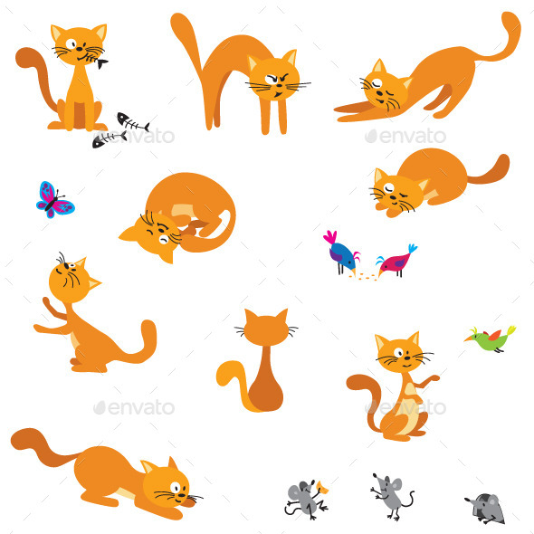 Ginger Cats (Animals)