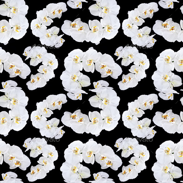White orchid seamless pattern