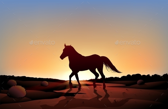 Horse in a Sunset Scenery at the Desert Horse in a Sunset Scenery at the Desert