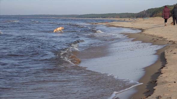 Autumn at the Baltic Sea Autumn at the Baltic Sea