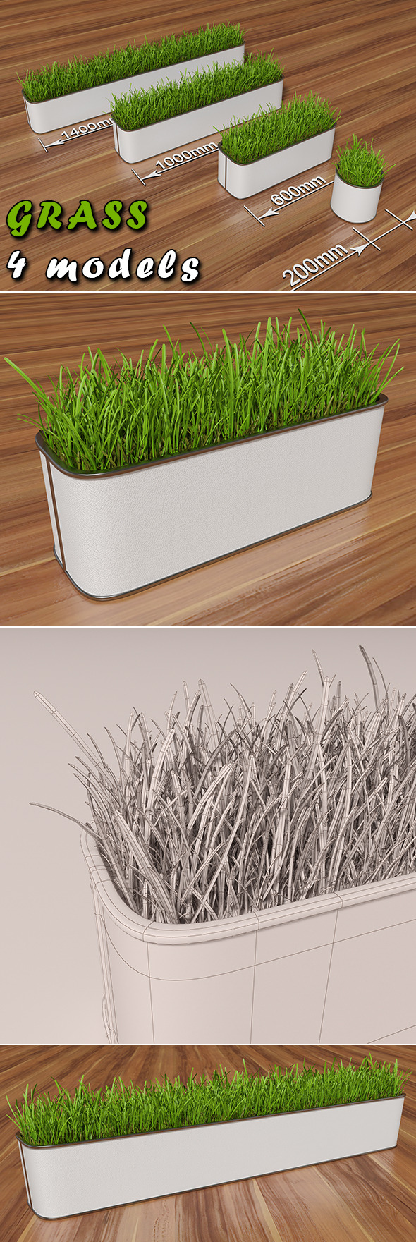 Decorative grass in a pot Decorative grass in a pot