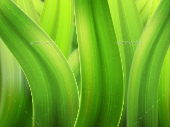 GraphicRiver Grass Macro Background 9311419 GraphicRiver Grass Macro Background 9311419