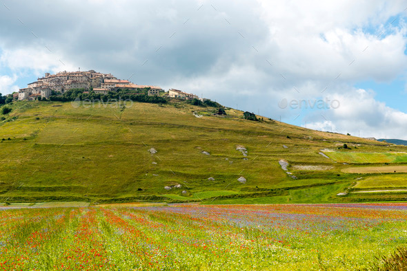 Piano Grande di Castelluccio (Italy) (Misc) Photo Download