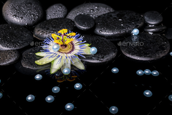 spa still life of passiflora flower on zen basalt stones with dr (Misc) Photo Download