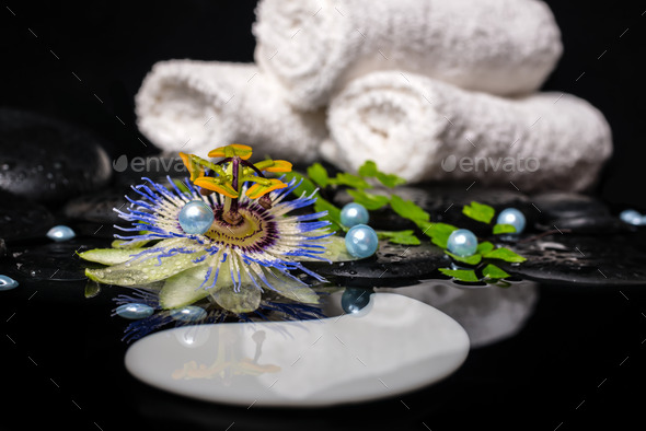 spa concept of passiflora flower, branches, towels, zen basalt s (Misc) Photo Download