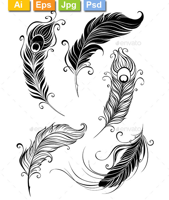 GraphicRiver Set of Feathers 9318613 GraphicRiver Set of Feathers 9318613