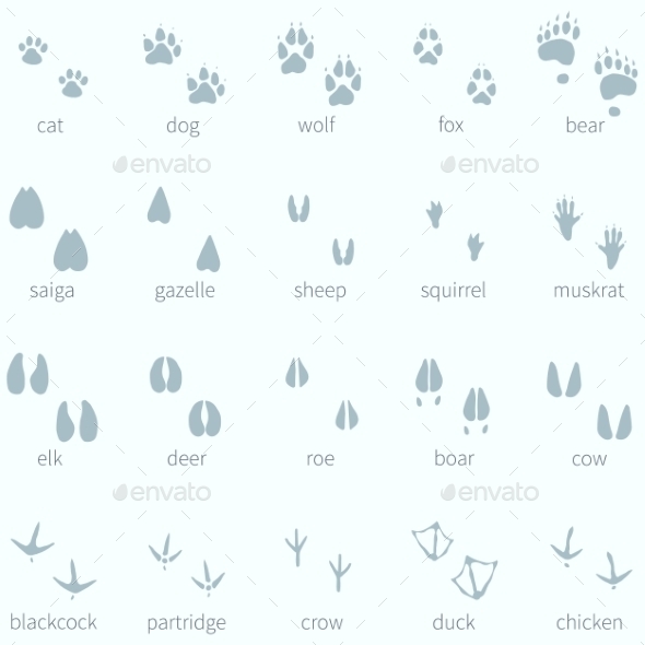 GraphicRiver Set of Animals Footprints in the Snow 9318984 GraphicRiver Set of Animals Footprints in the Snow 9318984