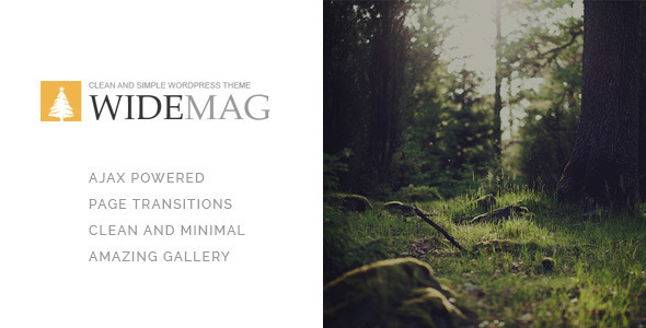 Widemag - WordPress Magazine Theme - Personal Blog / Magazine