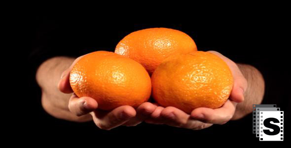 Hands Holding Oranges Hands Holding Oranges