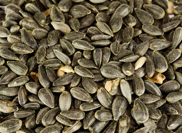 sunflower seeds (Misc) Photo Download