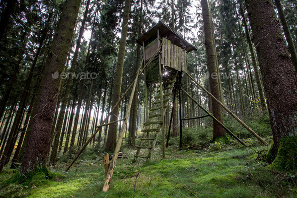 hunting tower in german forest (Misc) Photo Download