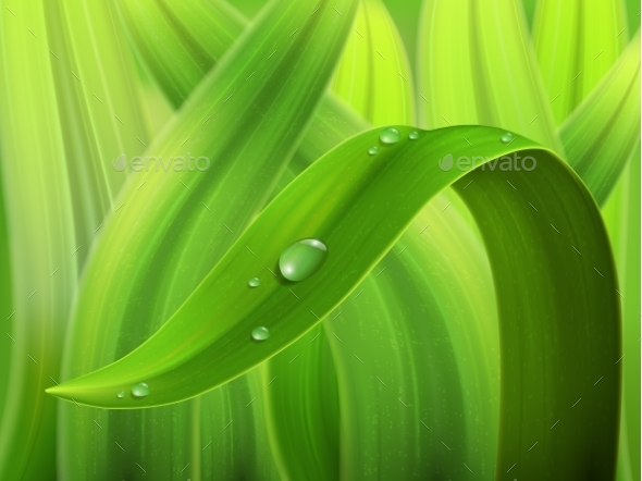 GraphicRiver Water Drop on Grass Macro 9332922 GraphicRiver Water Drop on Grass Macro 9332922