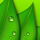 Green Leaf Backgrounds Green Leaf Backgrounds - GraphicRiver Item for Sale