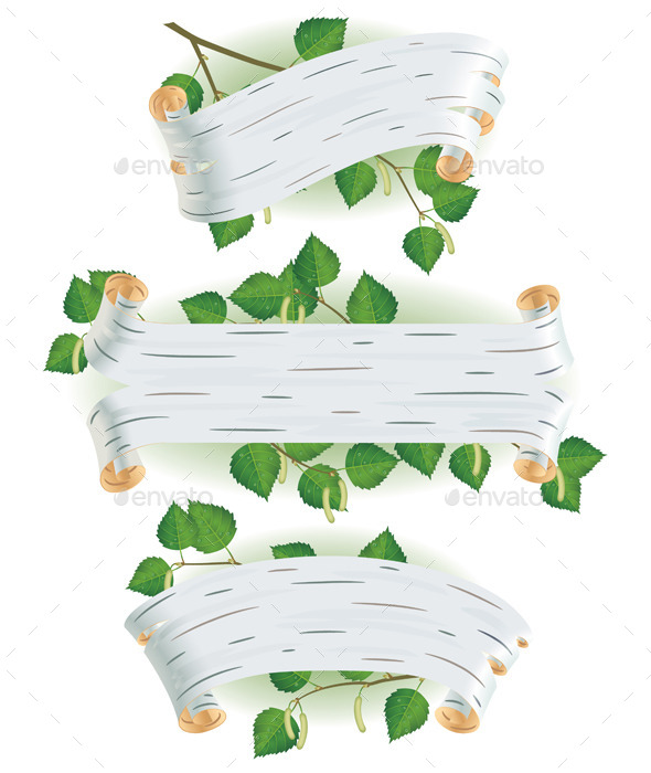 GraphicRiver Birch Bark 9336470 GraphicRiver Birch Bark 9336470