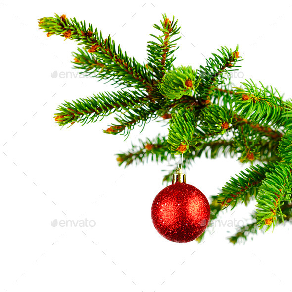 Decorative ball on fir branch (Misc) Photo Download