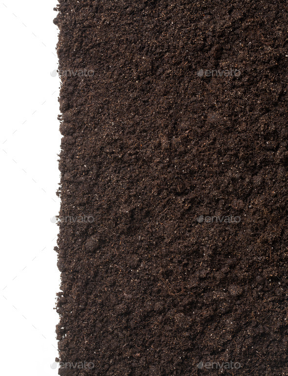 Soil or dirt texture isolated on white background