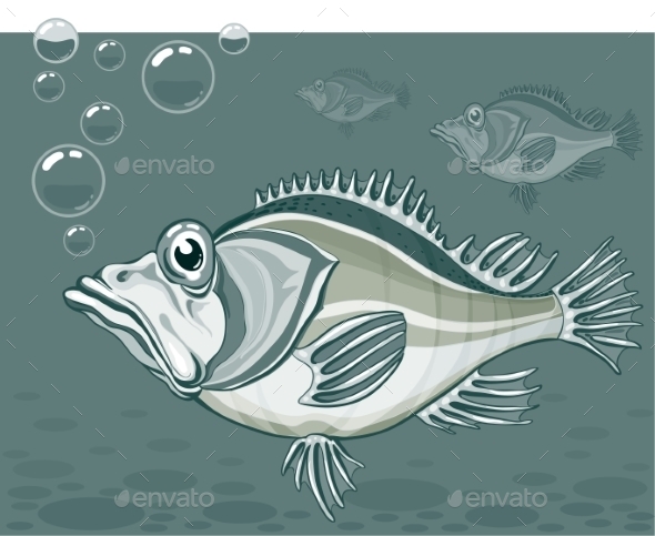GraphicRiver Fish 9351074 GraphicRiver Fish 9351074