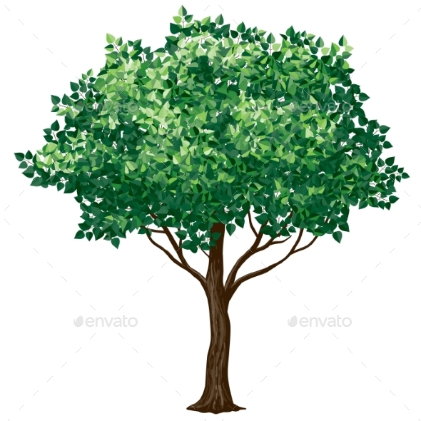GraphicRiver Foliage Tree 9359984 GraphicRiver Foliage Tree 9359984