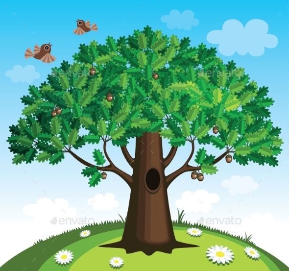 GraphicRiver Oak Tree 9360021 GraphicRiver Oak Tree 9360021