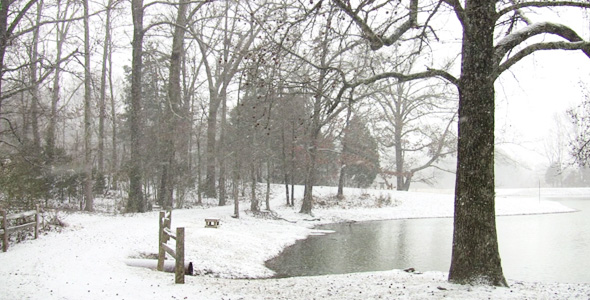 Nature HD Snow Scene Nature HD Snow Scene