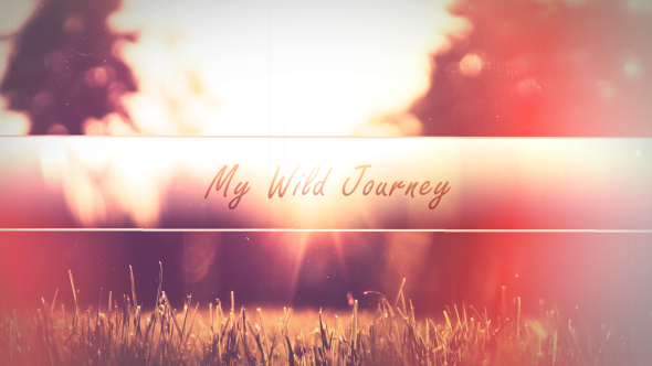 My Wild Journey My Wild Journey