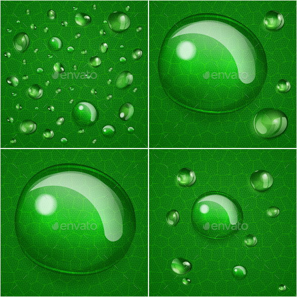 GraphicRiver Backgrounds With Drops On Green Leafs 9382246 GraphicRiver Backgrounds With Drops On Green Leafs 9382246