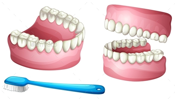 GraphicRiver Dentures and Tooth Brush 9385534 GraphicRiver Dentures and Tooth Brush 9385534