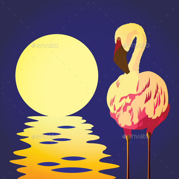 Flamingo in the Sun (Animals)