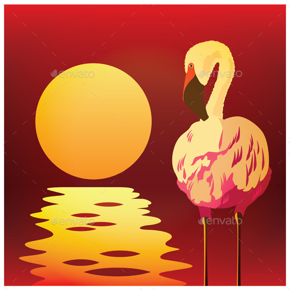 Flamingos at Sunset (Animals)