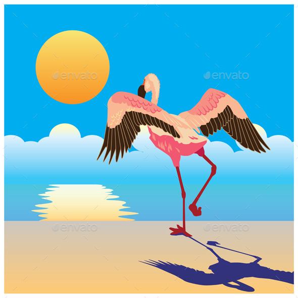 Flamingo on the Shore (Animals)