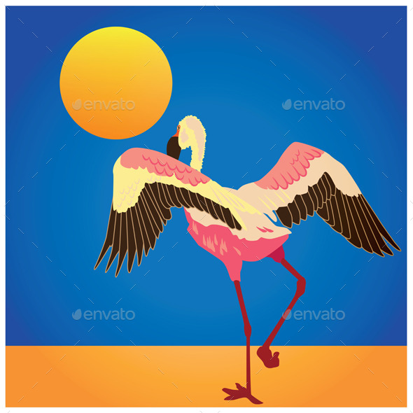 Flamingo on the Shore (Animals)