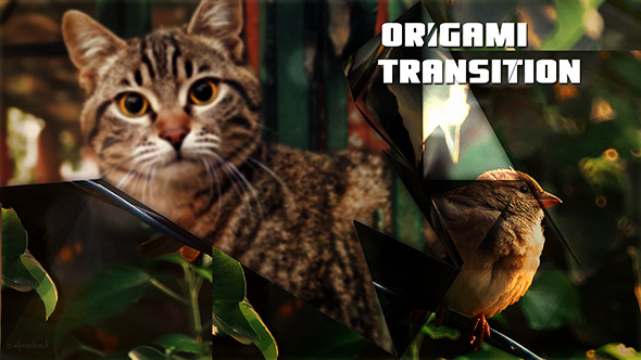 Origami Photo Slide Origami Photo Slide