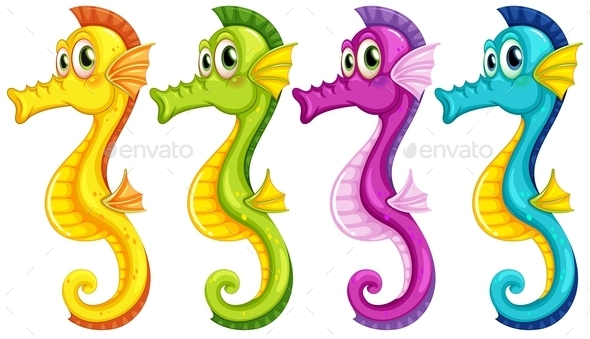 Seahorses (Animals)