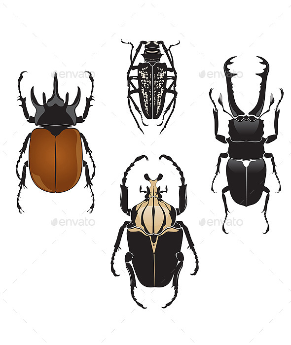 GraphicRiver Beetles 9412534 GraphicRiver Beetles 9412534